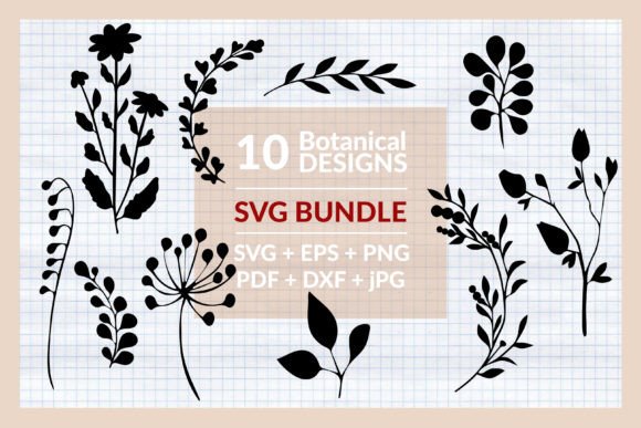 Botanical SVG Bundles: A Floral Design Asset for Crafts and Graphics