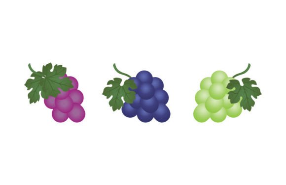 Grape Icon Fruit Free: A Practical Graphic Design Asset for Digital Sellers