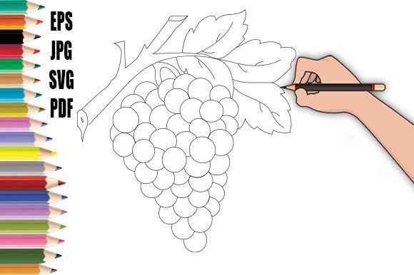 Grape Line Art Illustration Graphics Freebies