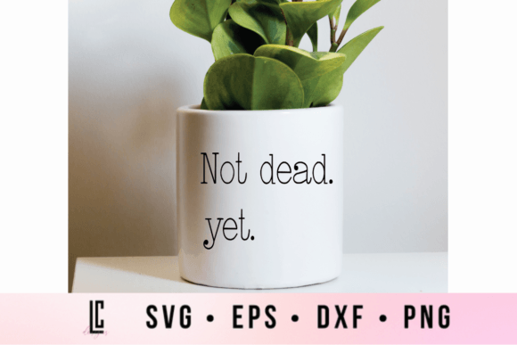 Not Dead Yet Funny SVG: Graphics and Crafts for Creative Sellers