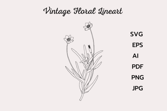 Vintage Flower Line Drawing Clipart for Graphics and Freebies